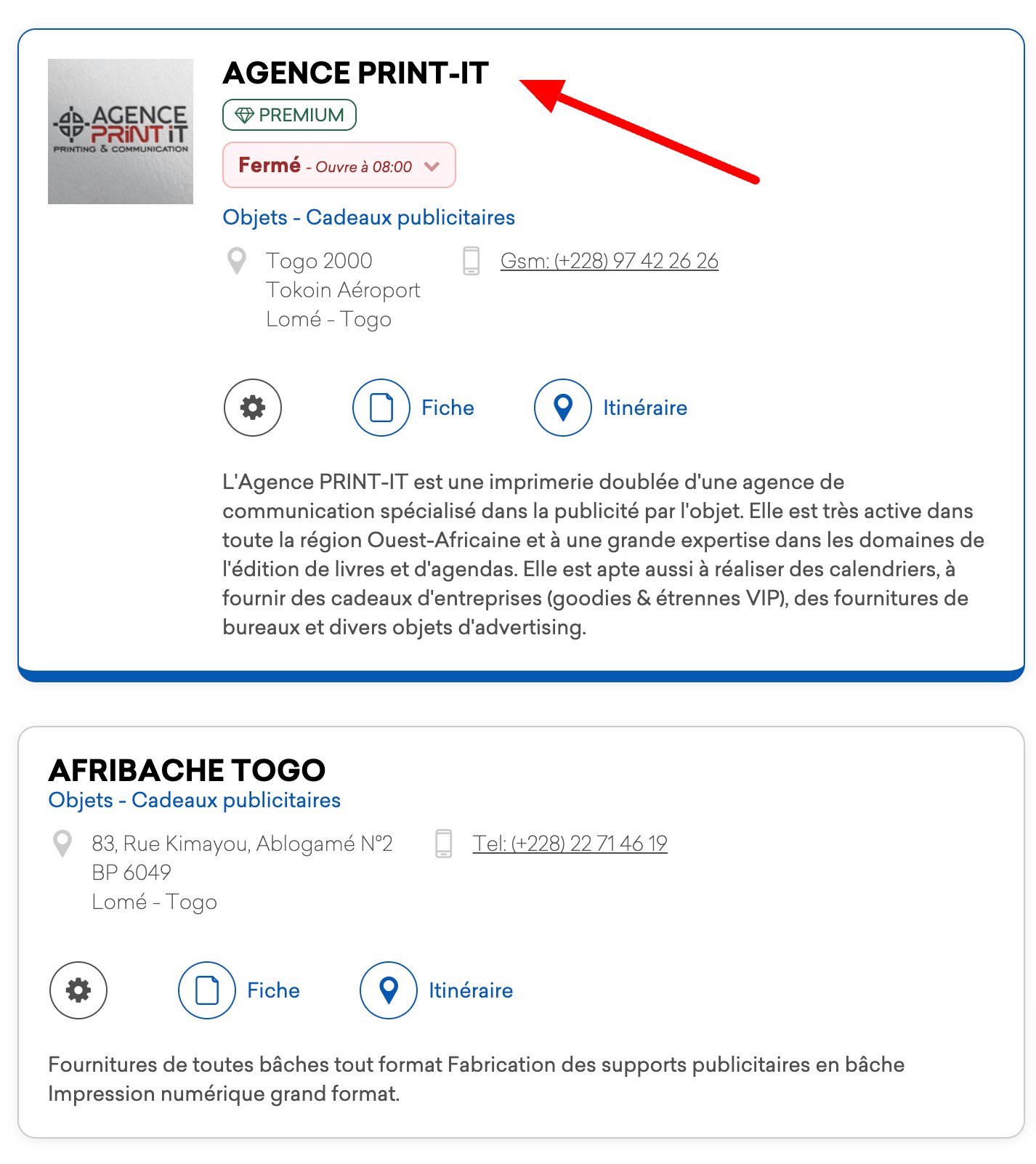capture d'écran d'un résultat de recherche sur go africa