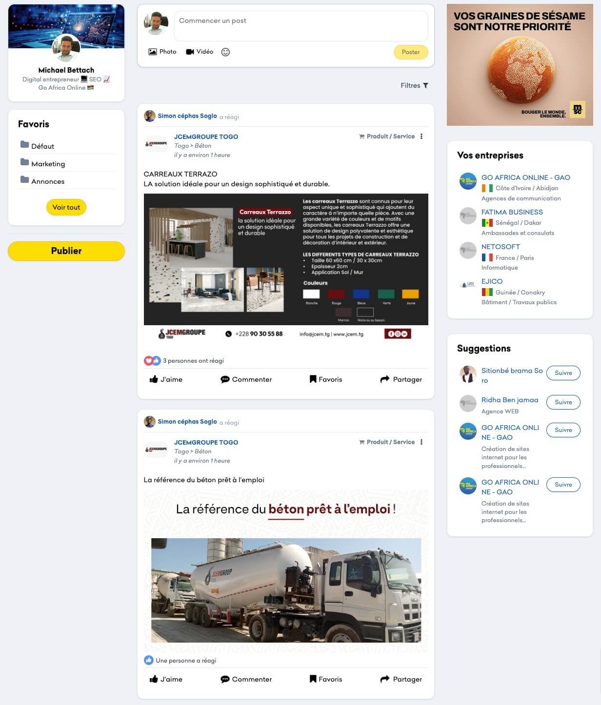 Capture d'écran de la page d'accueil du réseau Go Africa Online