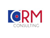 CRM CONSULTING CRM CONSULTING